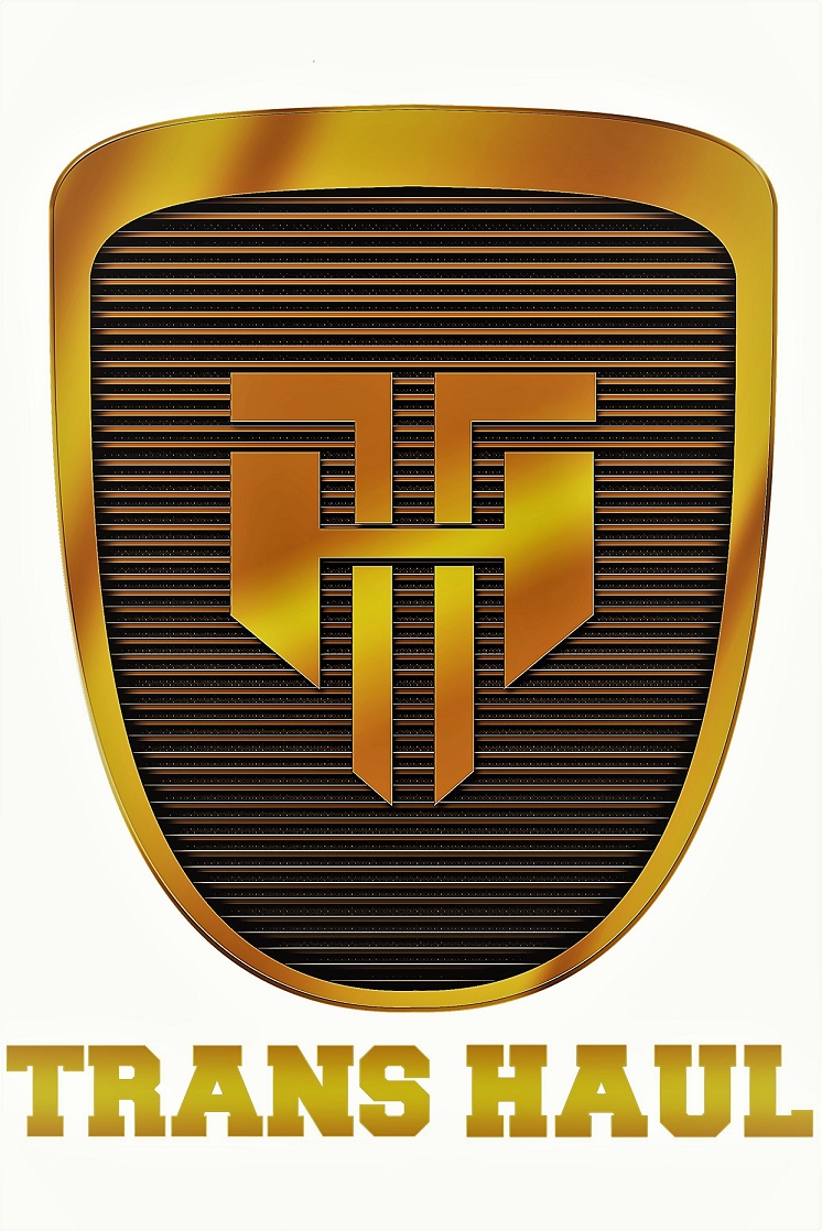 TRANSHAUL LOGISTICS | 321 Orenda Rd, Brampton, ON L6T 1G4, Canada | Phone: (416) 697-0001
