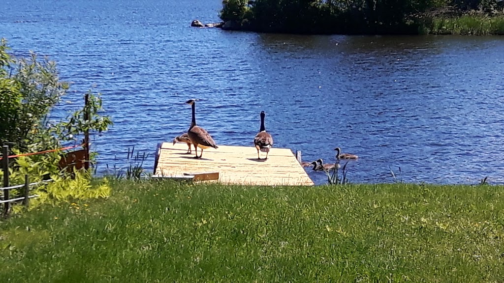 Gestion Marc Breton | 804 2e Rue, Roxton Pond, QC J0E 1Z0, Canada | Phone: (450) 375-8902
