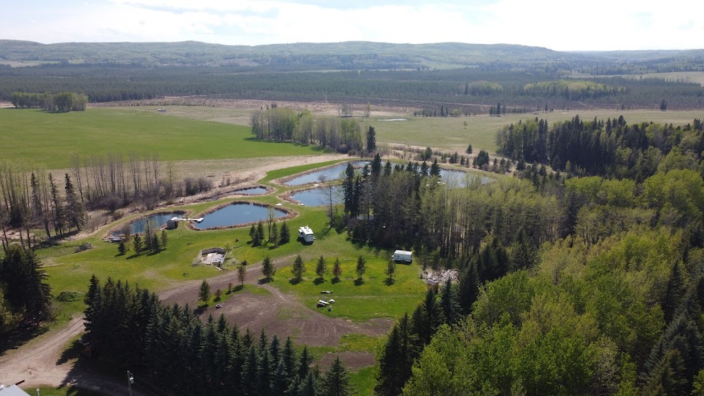 Aurora Fish Farm | 52.617083 114.610037, Ponoka County, AB T0C 2J0, Canada | Phone: (403) 505-0036
