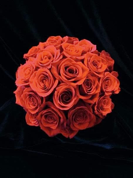 Bloomin Scents | 119 Charles St W, Morris, MB R0G 1K0, Canada | Phone: (204) 746-6233