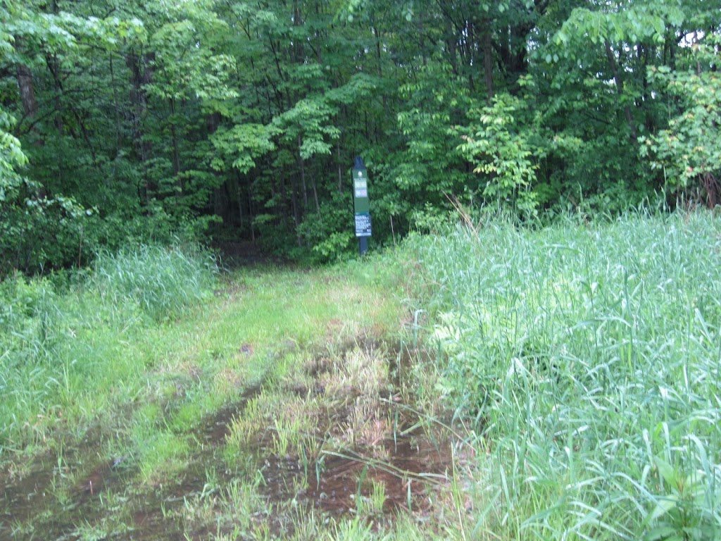 NCC Greenbelt P16 | Greenbelt Pathway, Ottawa, ON K1T, Canada