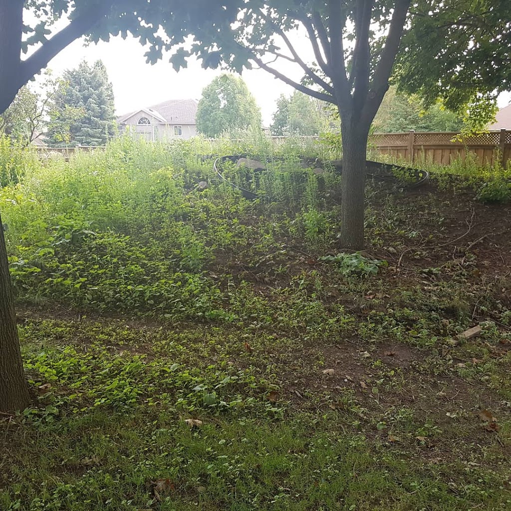 Forest City Demolition | 12 Locky Lane, Komoka, ON N0L 1R0, Canada | Phone: (519) 617-2590