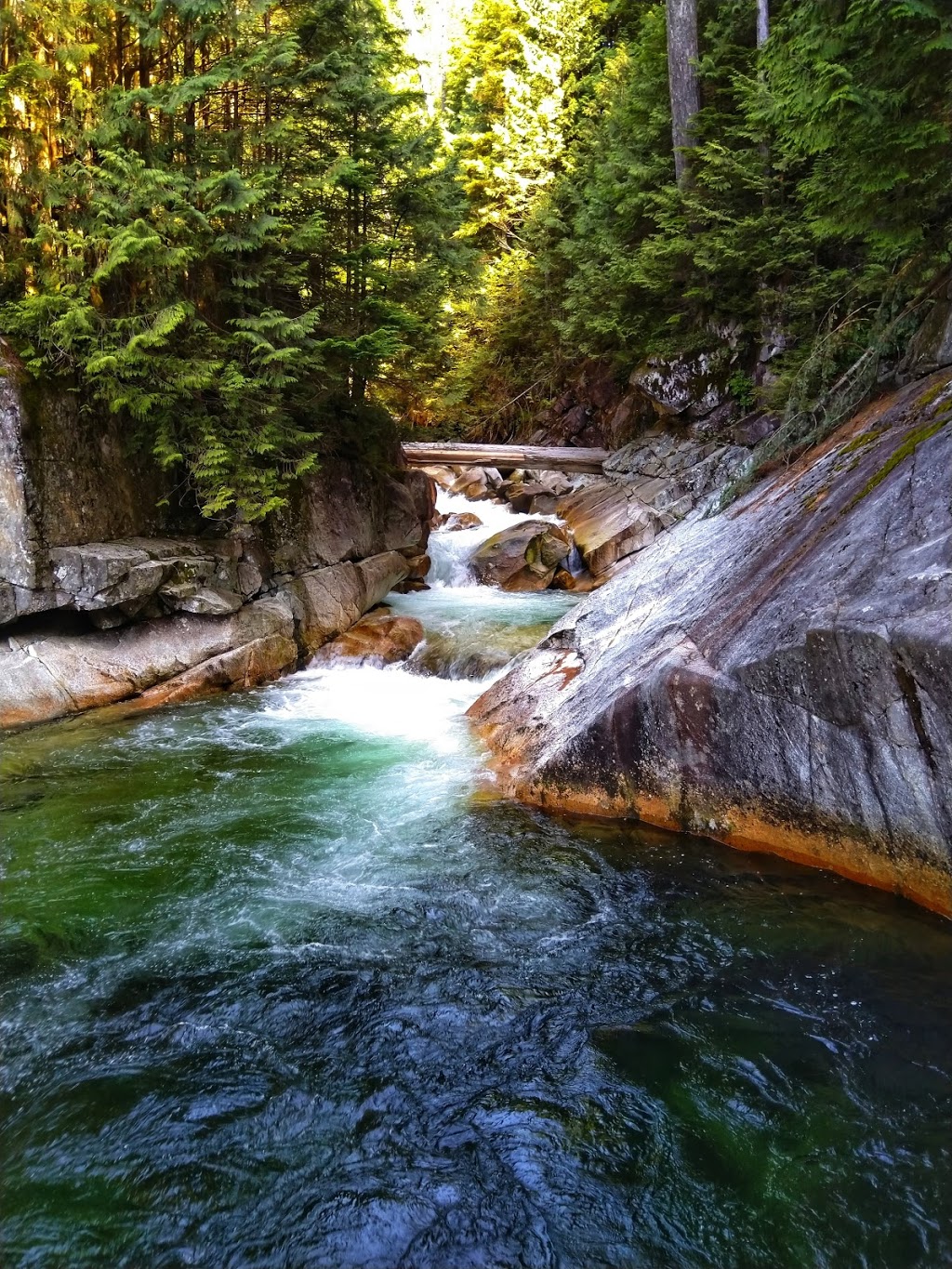 Lower Falls Trail | Lower Falls Trail, Maple Ridge, BC V0M, Canada