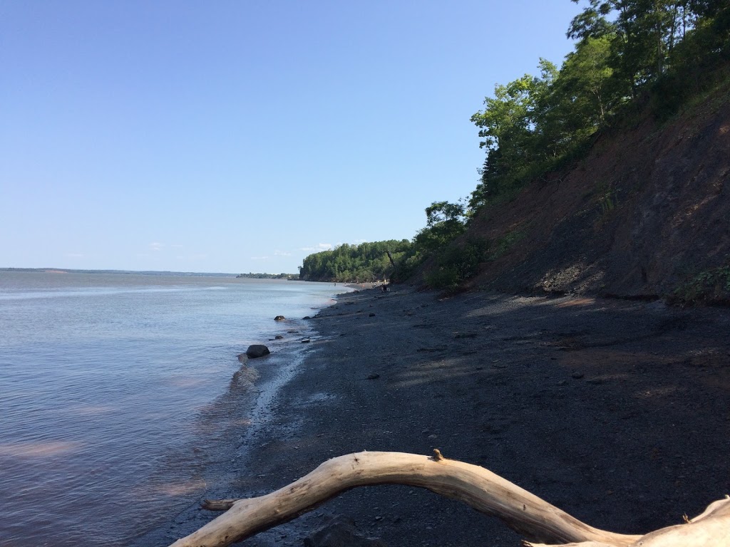 Blue Beach | 127 Blue Beach Rd, Hantsport, NS B0P 1P0, Canada | Phone: (902) 790-9541
