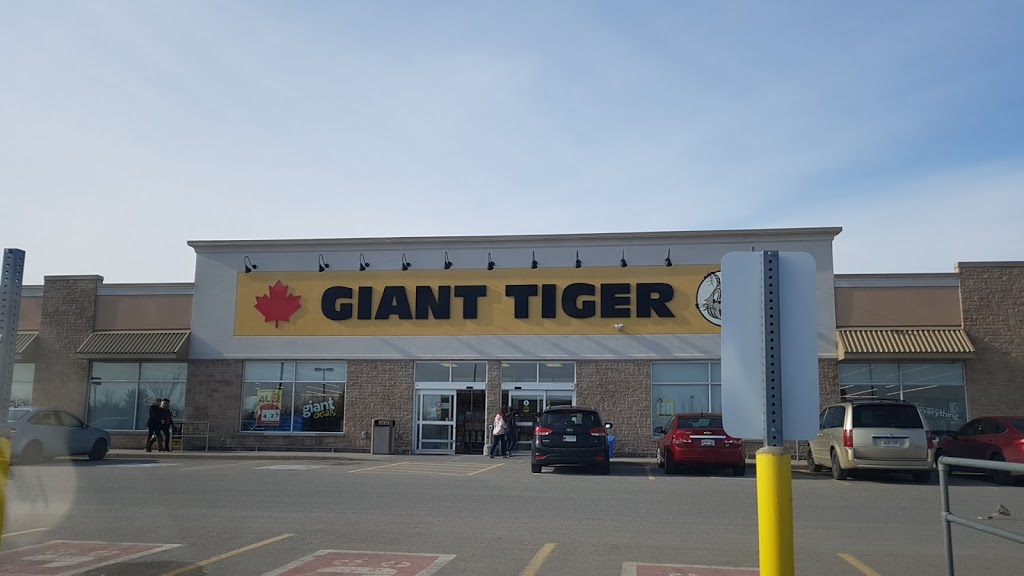 Giant Tiger | 320 Coleman St, Carleton Place, ON K7C 0B5, Canada | Phone: (613) 253-5564
