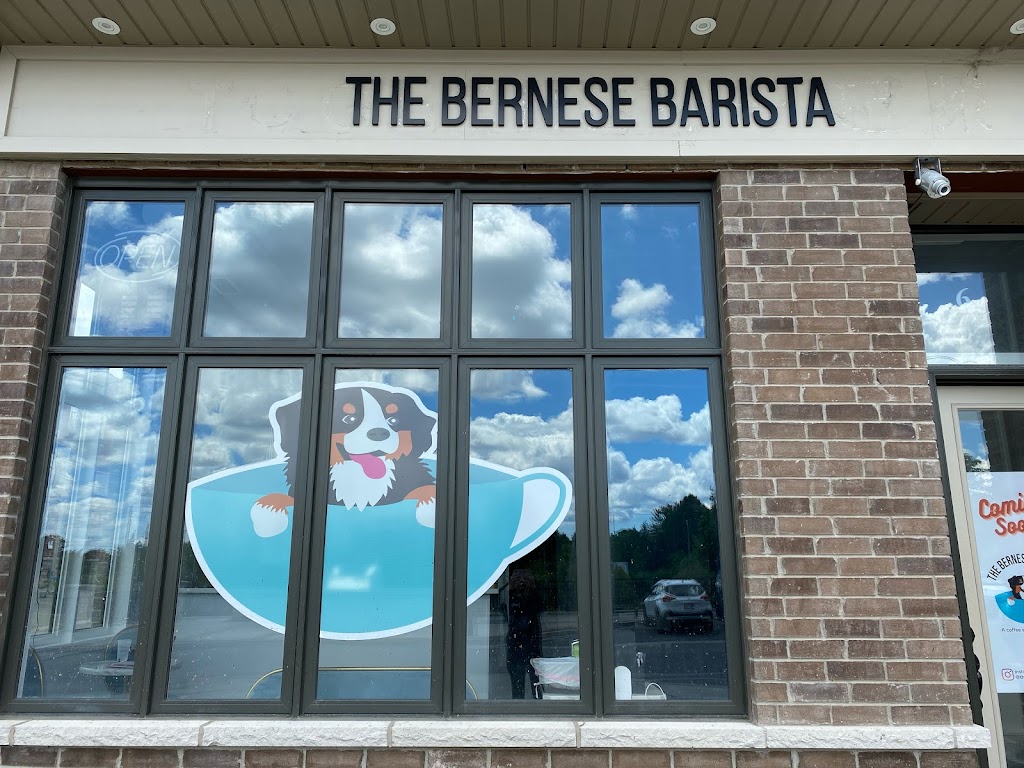 The Bernese Barista | 6 Nipigon Ave, Markham, ON L6C 1N7, Canada | Phone: (905) 927-9555