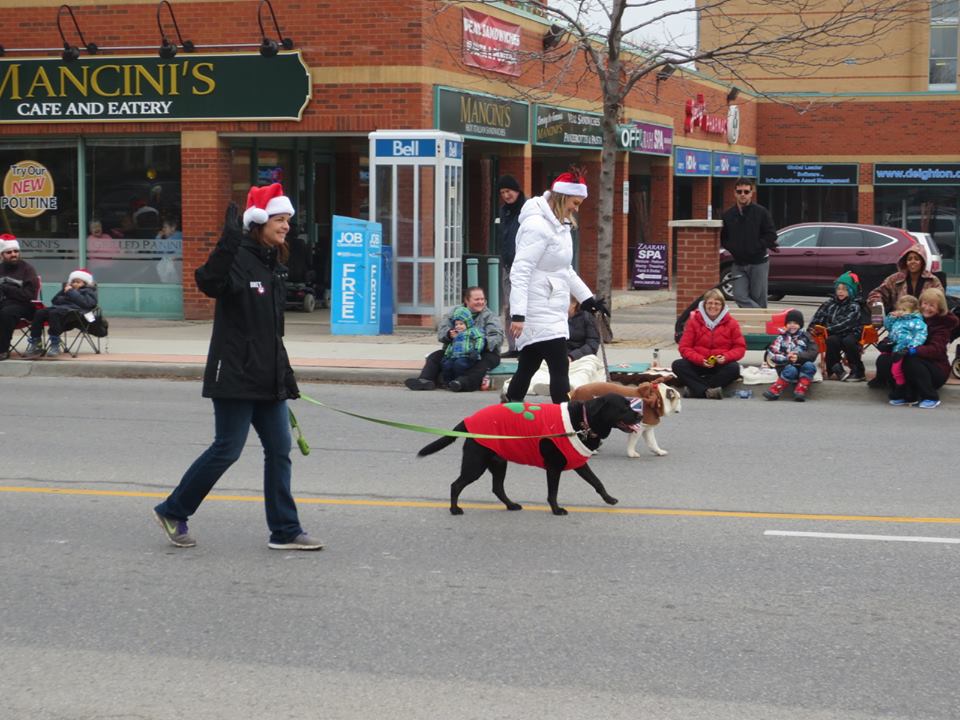 Dukes Pet Foods | 20 Broadleaf Ave, Whitby, ON L1R 0B5, Canada | Phone: (905) 425-3364
