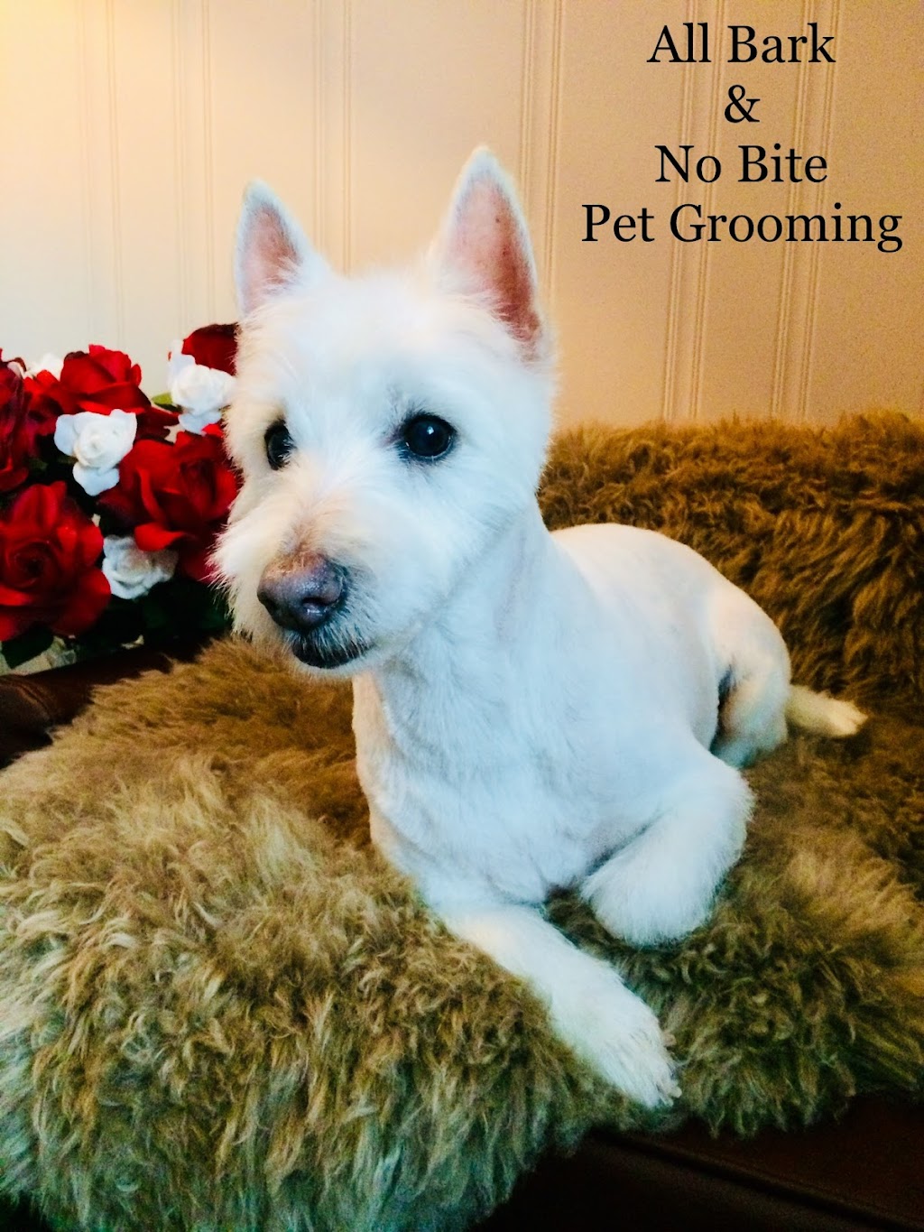 All Bark & No Bite Professional Pet Grooming | 6379 32 Ave NW, Calgary, AB T3B 0K1, Canada | Phone: (403) 863-9291