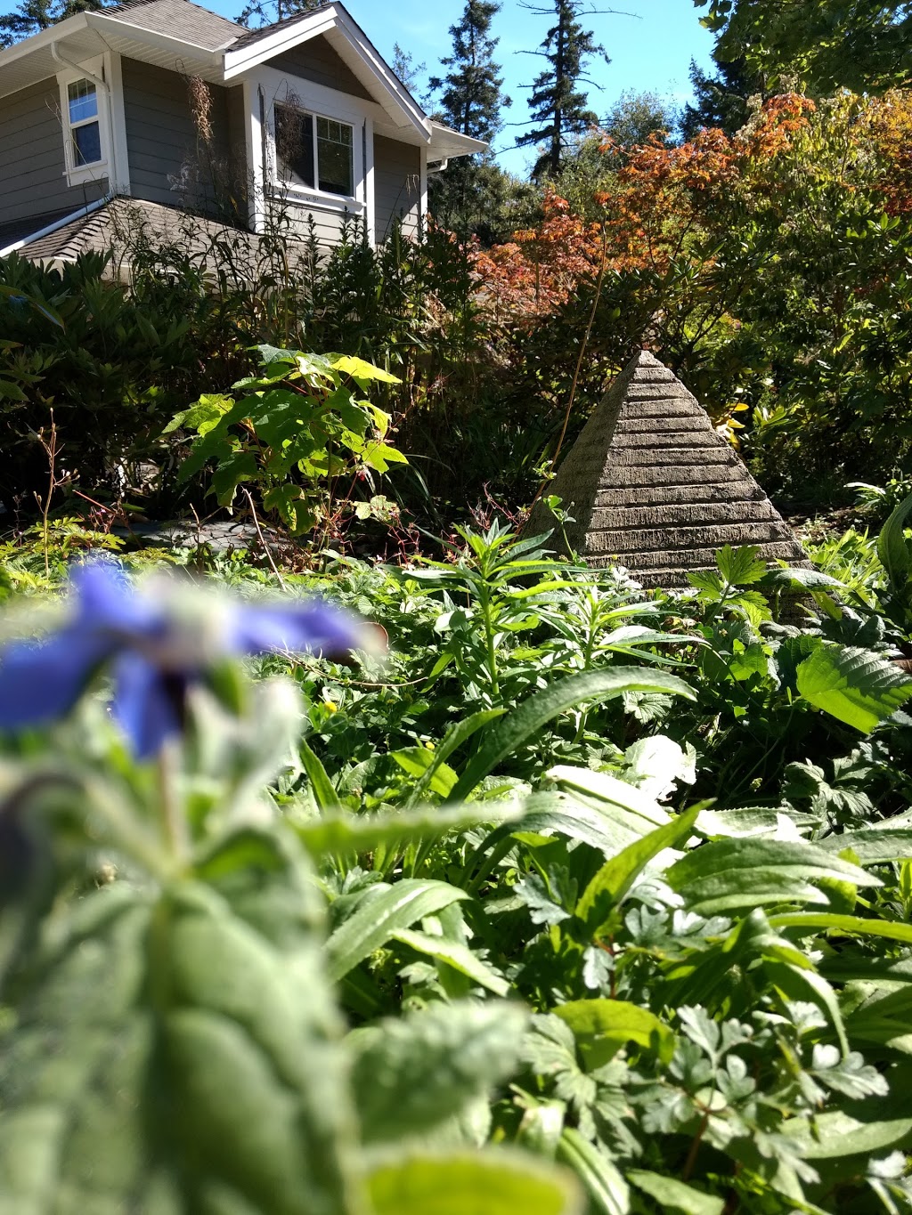 Faithwood Park | Faithwood Rd, Victoria, BC V8X 4Y6, Canada