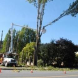 Libra Tree Services Ltd | 4945 Waters Rd, Duncan, BC V9L 6S9, Canada | Phone: (250) 748-4449