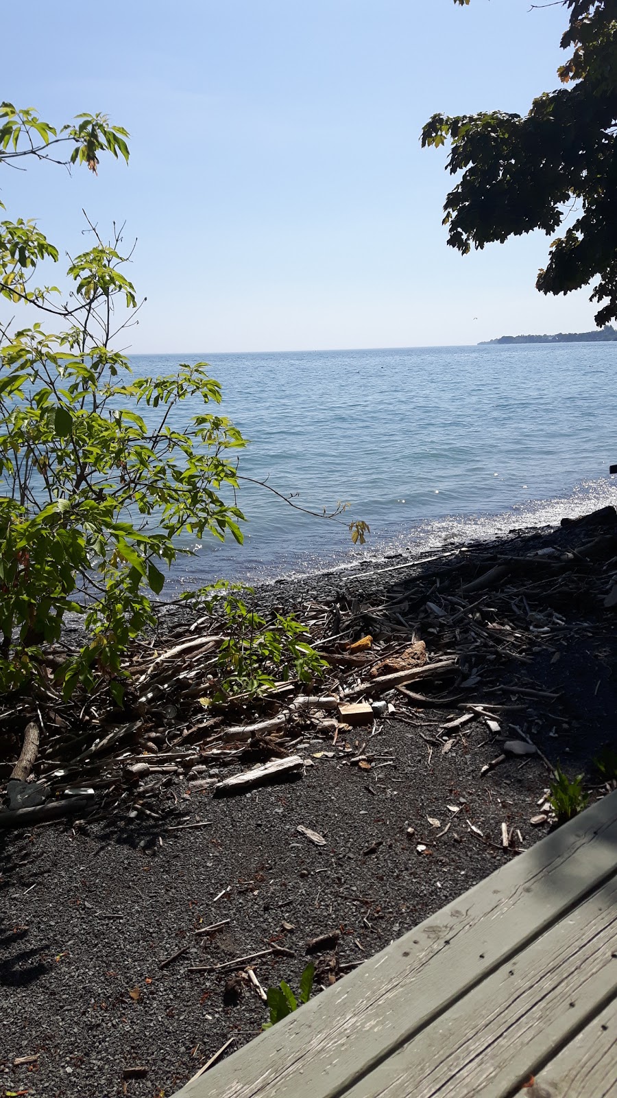 Beach Street Studio | 22 Beach St, Wellington, ON K0K 3L0, Canada | Phone: (613) 399-1987