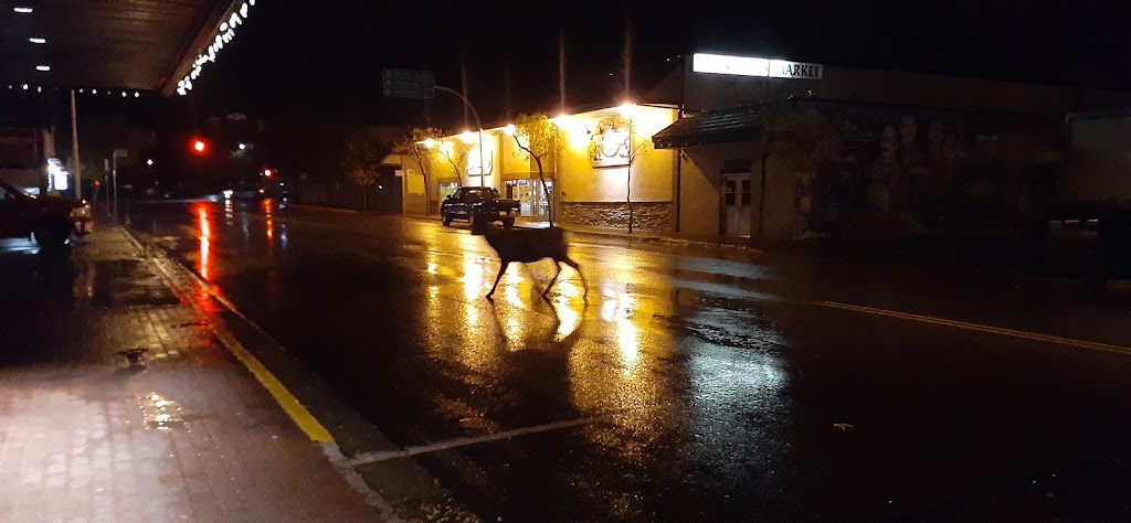 Sullivan Pub | 400 Ross St, Kimberley, BC V1A 2C6, Canada | Phone: (250) 427-5516