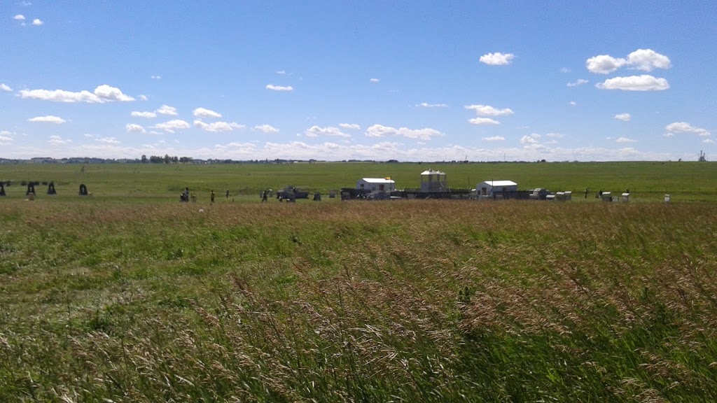 Delta Force Paintball Strathmore - Calgary | Range Rd 250, Strathmore, AB T4X 0K8, Canada | Phone: (800) 568-8909