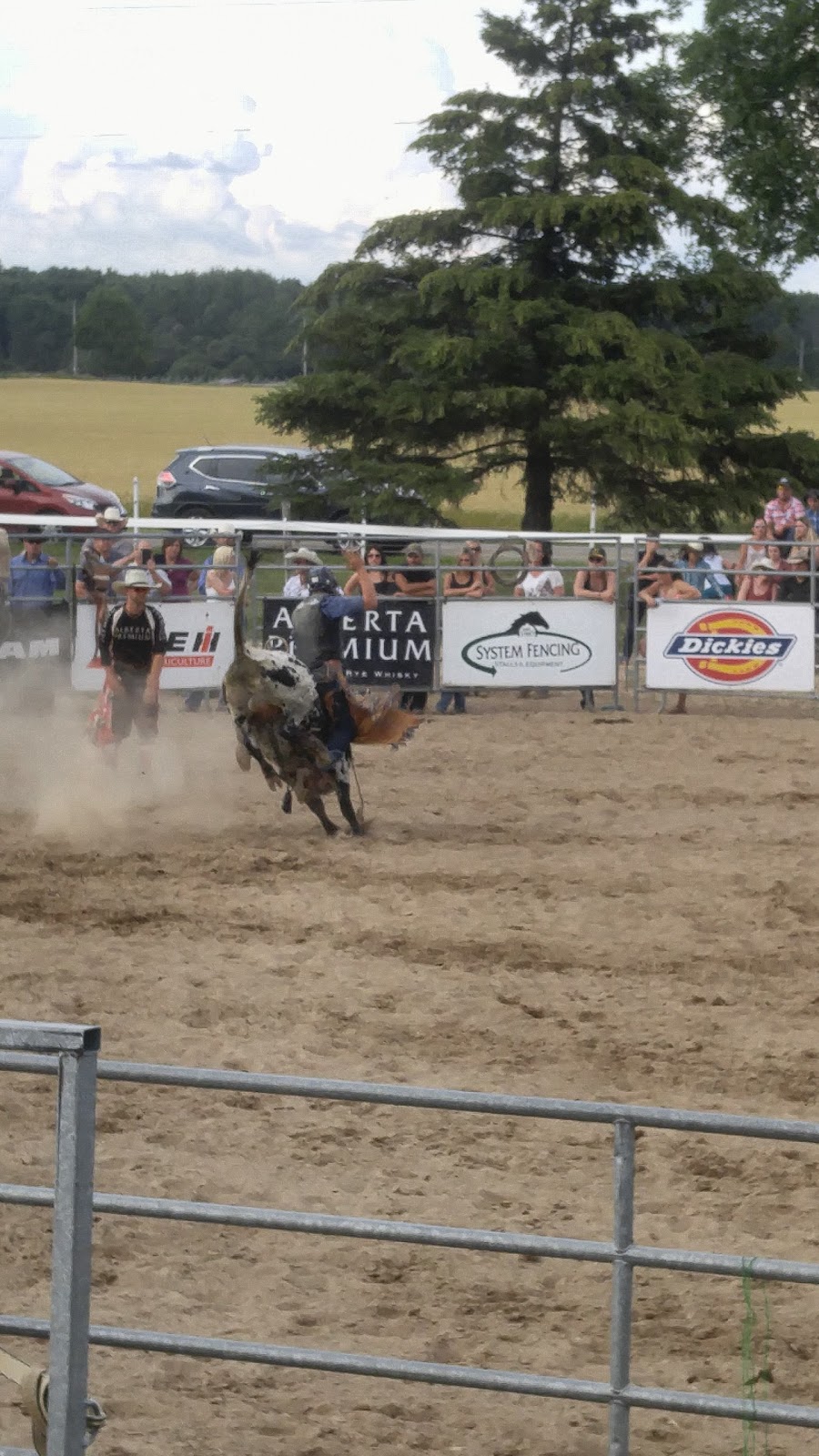 Calhoun Stables | 1590 Durant Rd, Breslau, ON N0B 1M0, Canada | Phone: (519) 664-0636