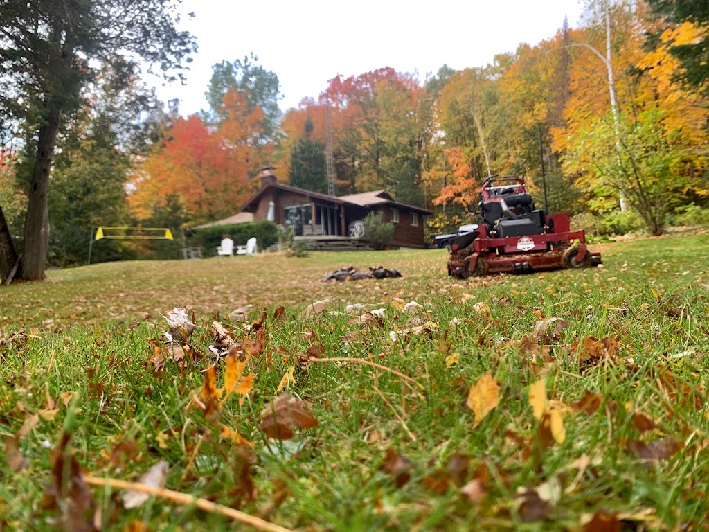 Hamilton & Sons Property Maintenance | 87 Doe Lake Rd, Katrine, ON P0A 1L0, Canada | Phone: (705) 783-9114