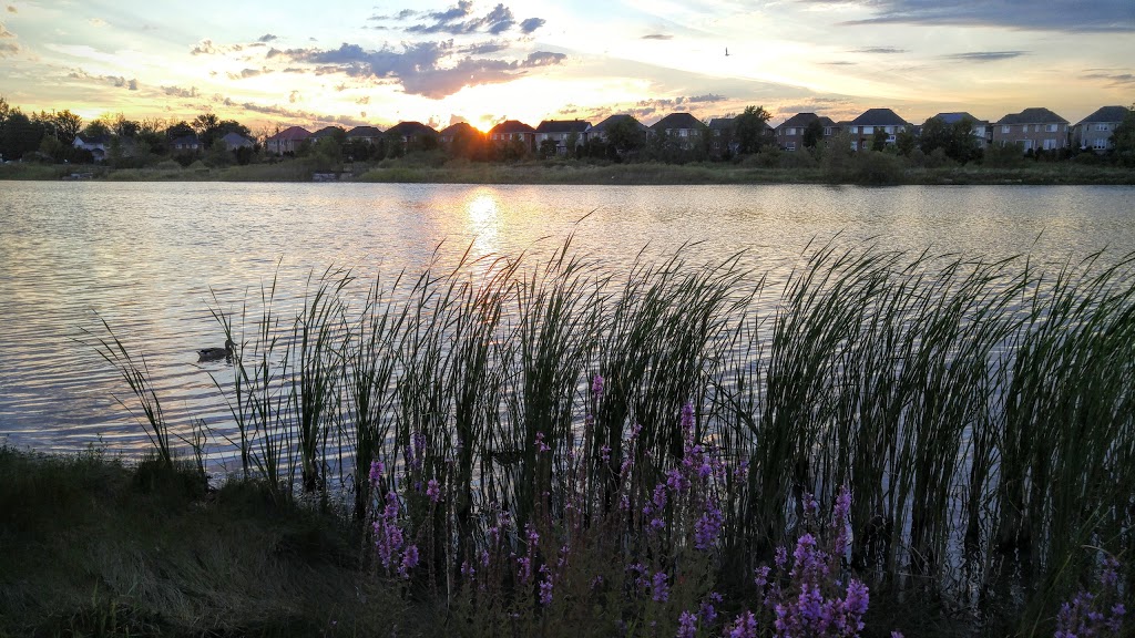 Johnny Bower Park | 3919 Parkgate Dr, Mississauga, ON L5N 7B4, Canada | Phone: (647) 287-0000