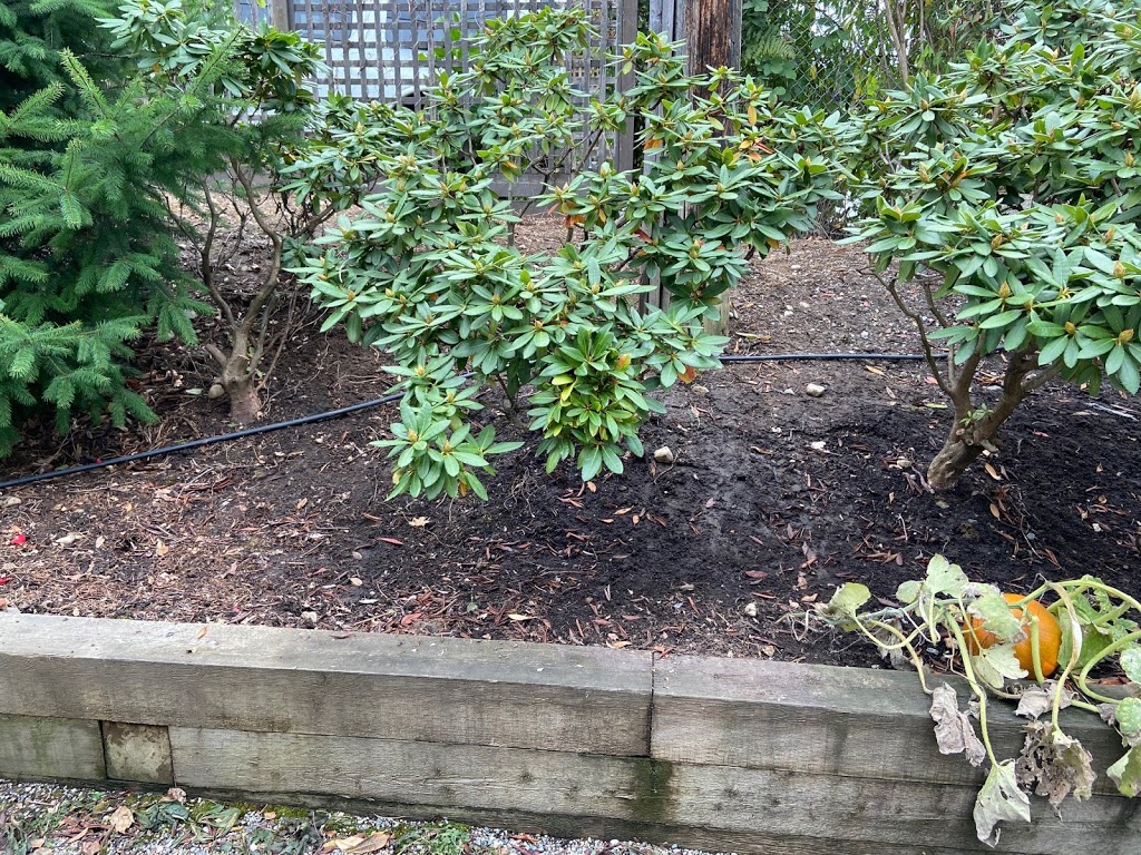 ecosteam outdoor services Ltd. | 3934 St Marys Pl, North Vancouver, BC V7N 4H5, Canada | Phone: (604) 839-3532