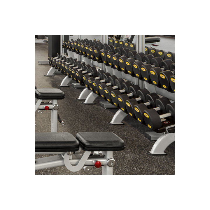 Fit4Less | 417 Wellington St Unit 32, St Thomas, ON N5R 5J5, Canada | Phone: (519) 631-1501
