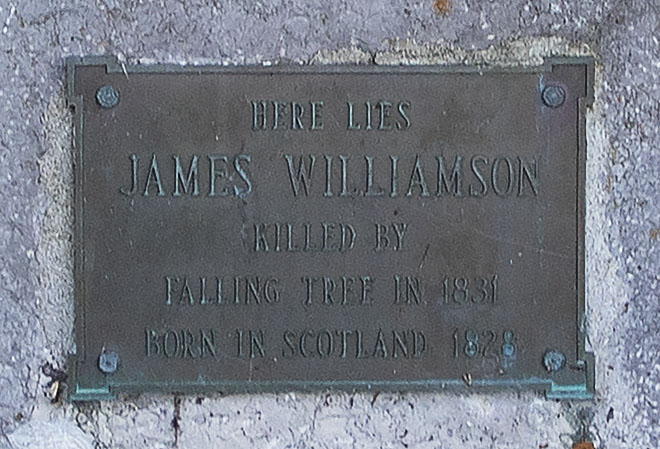 James Williamson Cemetery | 1640-1924, Kawartha Lakes County Rd 46, Woodville, ON K0M 2T0, Canada