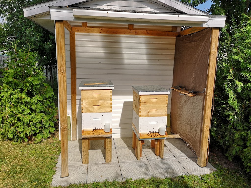 Savonnerie Artisanale Teltel | 493 Rang de la Carrière, Upton, QC J0H 2E0, Canada | Phone: (514) 928-7525