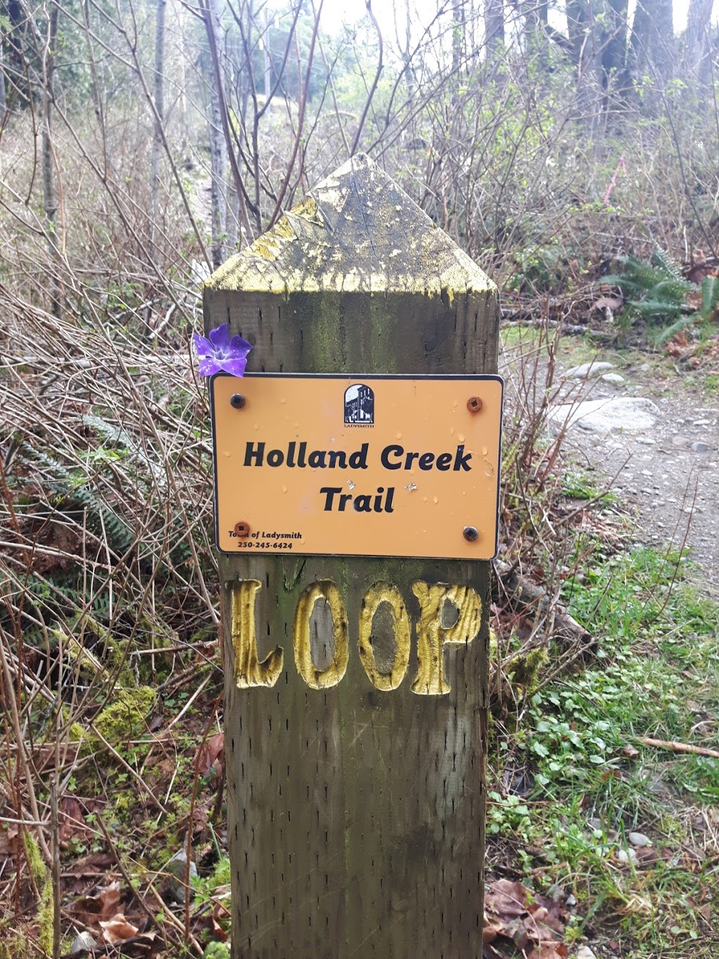 Holland Creek Trail | Heart Lake Trail, Ladysmith, BC V9G 1V4, Canada