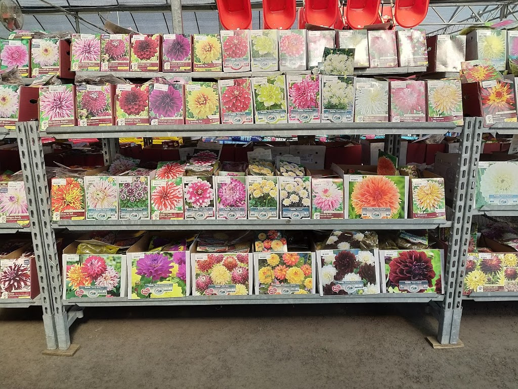 Plant World | 4000 Eglinton Ave W, Etobicoke, ON M9A 4M2, Canada | Phone: (416) 241-9174