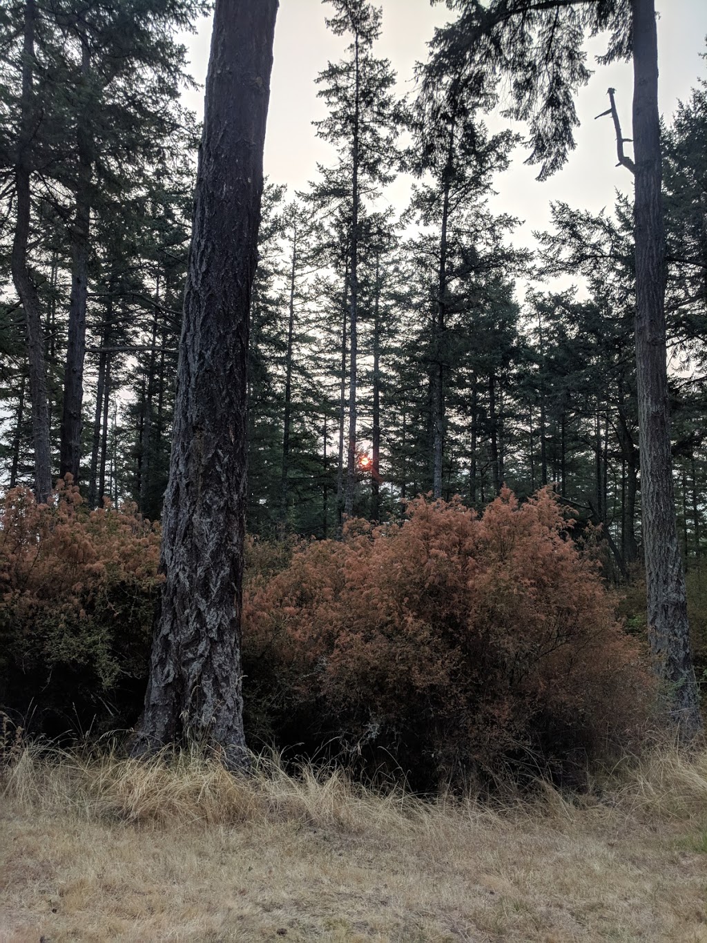 Laughing Moon Farm | 482 Osprey Ln, Eastsound, WA 98245, USA | Phone: (360) 376-7879