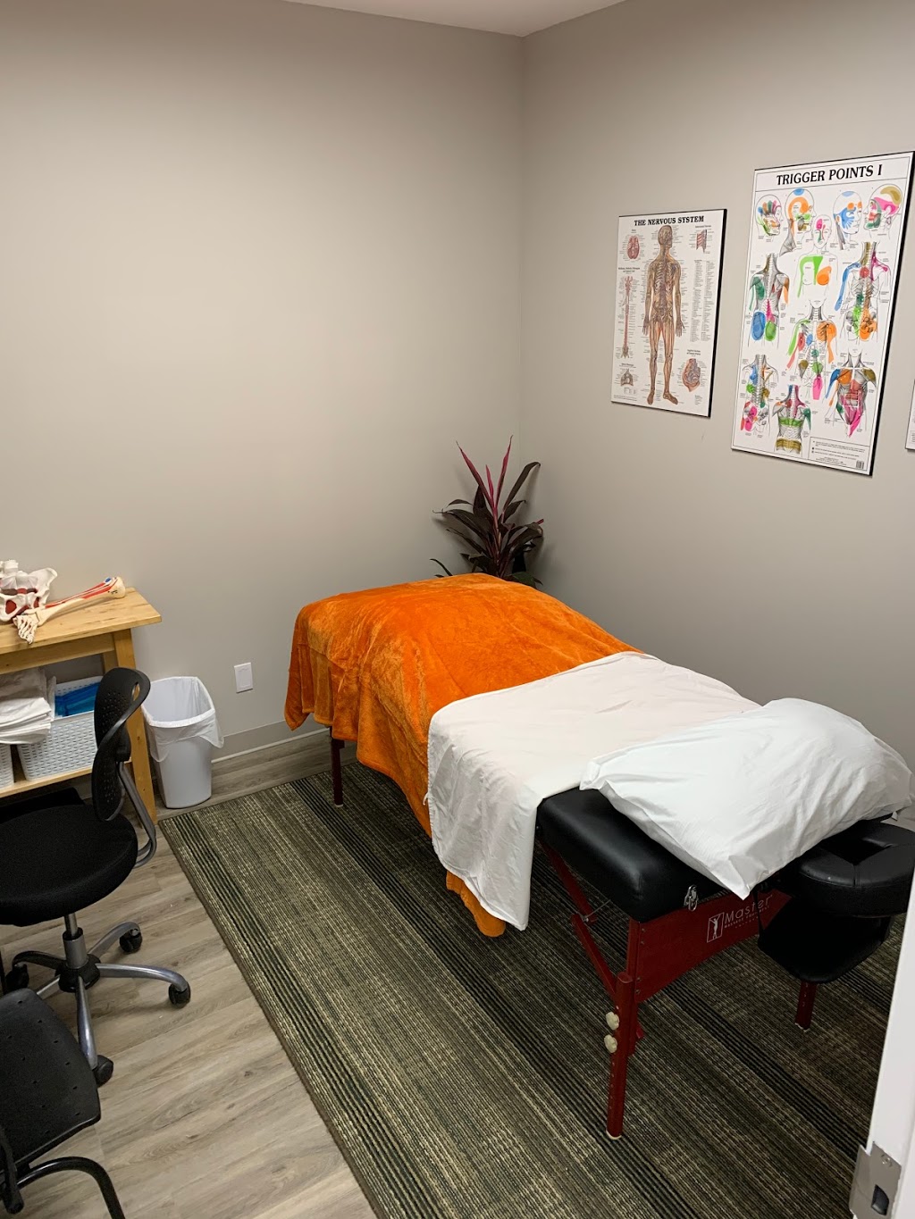 Absolute Health & Wellness | 70 Hartley Ave Unit 2, Paris, ON N3L 0G9, Canada | Phone: (519) 442-2206