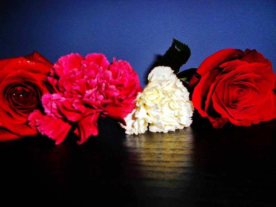 Walmart Portrait Studio | 750 Garrison Rd, Fort Erie, ON L2A 1N7, Canada | Phone: (905) 871-2666