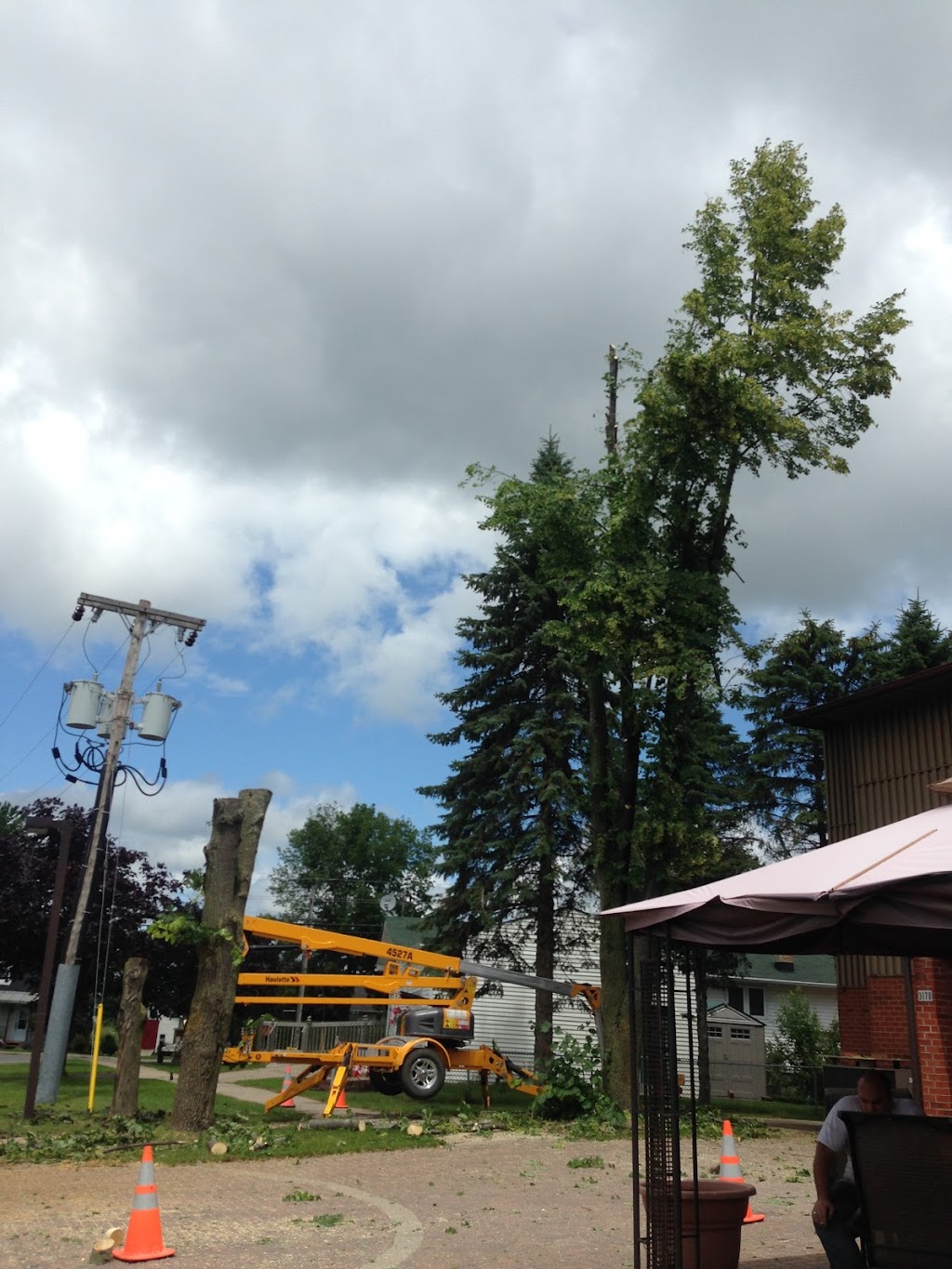 Nicholls Tree and Lawn Service Inc | 6109 Heritage Park Crescent, Orléans, ON K1C 7G8, Canada | Phone: (613) 882-3873
