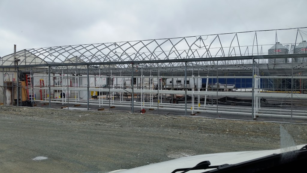 Bickerstaffe Nurseries & Gardens | 131 Witch Hazel Rd, Portugal Cove-St. Philips, NL A1M 3N3, Canada | Phone: (709) 895-3701