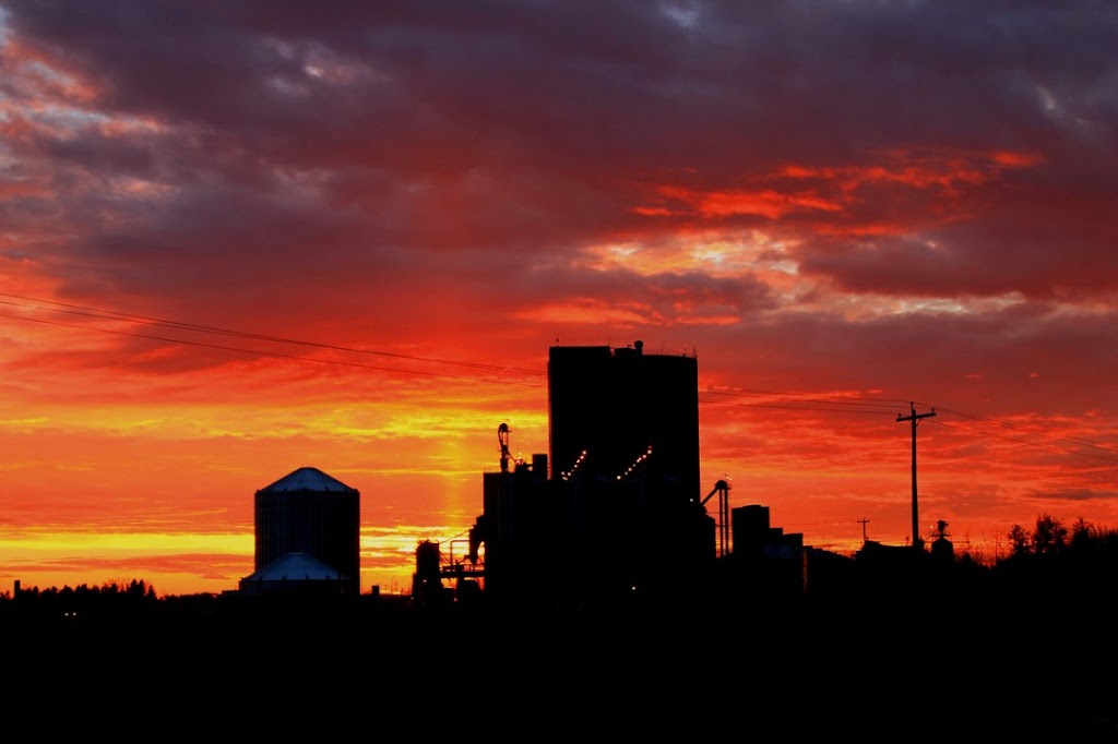 Rahr Malting | Alix, AB T0C 0B0, Canada | Phone: (403) 747-2777