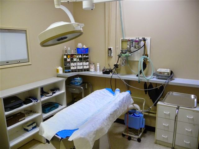 Properties Animal Clinic | 5401 Temple Dr NE #110, Calgary, AB T1Y 3R7, Canada | Phone: (403) 285-5111