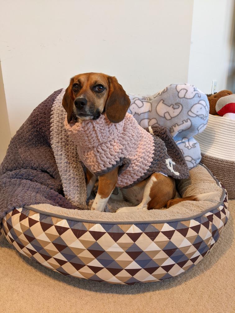 Luckys Blankets and More | Scarborough, Toronto, ON M1V 1A7, Canada | Phone: (647) 964-6565