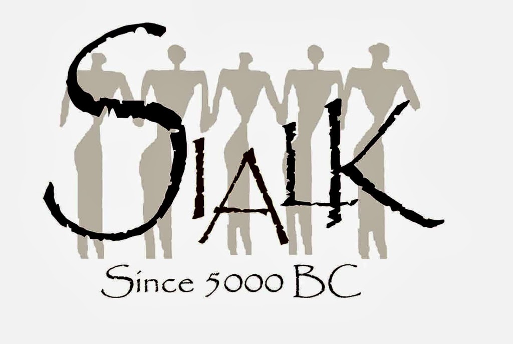 Sialk Inc. | 6013 Yonge St, North York, ON M2M 3W2, Canada | Phone: (416) 548-7160