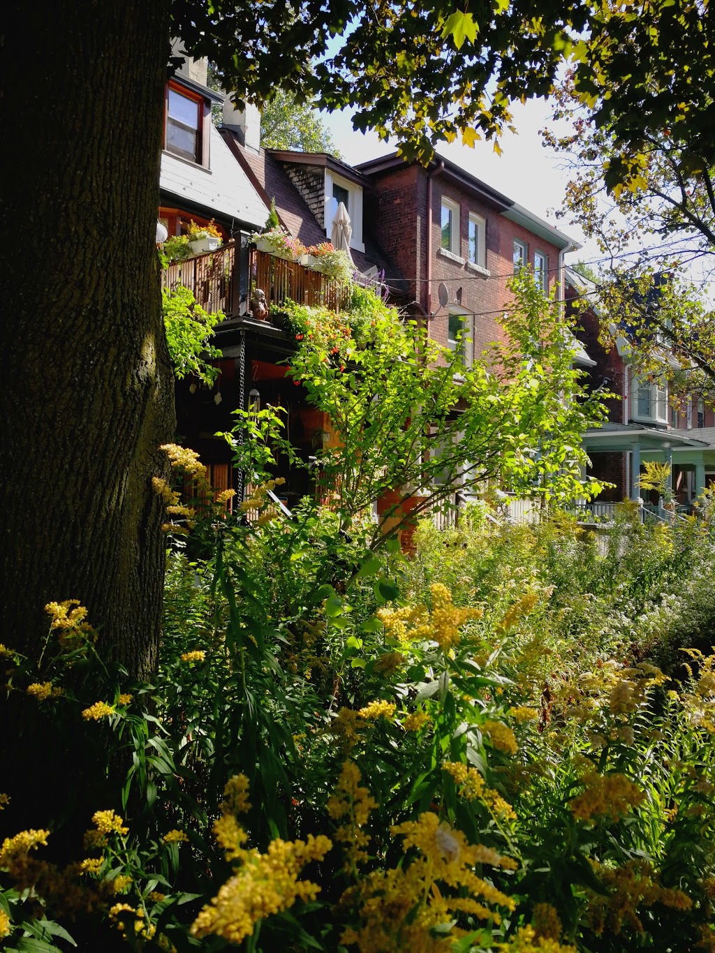 Jean Sibelius Square | 50 Kendal Ave, Toronto, ON M5R 1L5, Canada