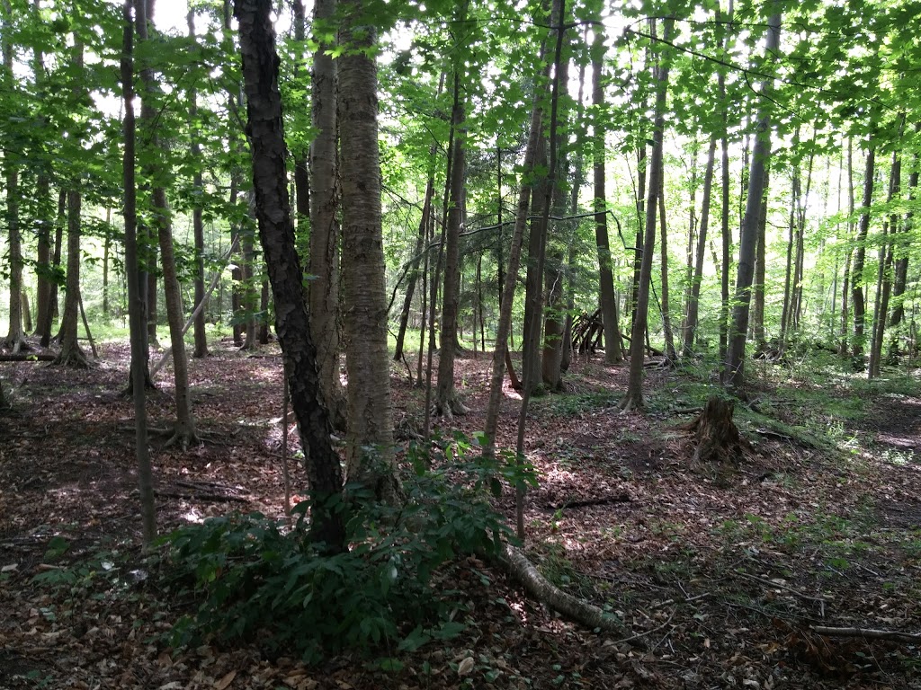 Old Homestead The | 35248 Bayfield River Rd, Bayfield, ON N0M 1G0, Canada | Phone: (519) 482-9256
