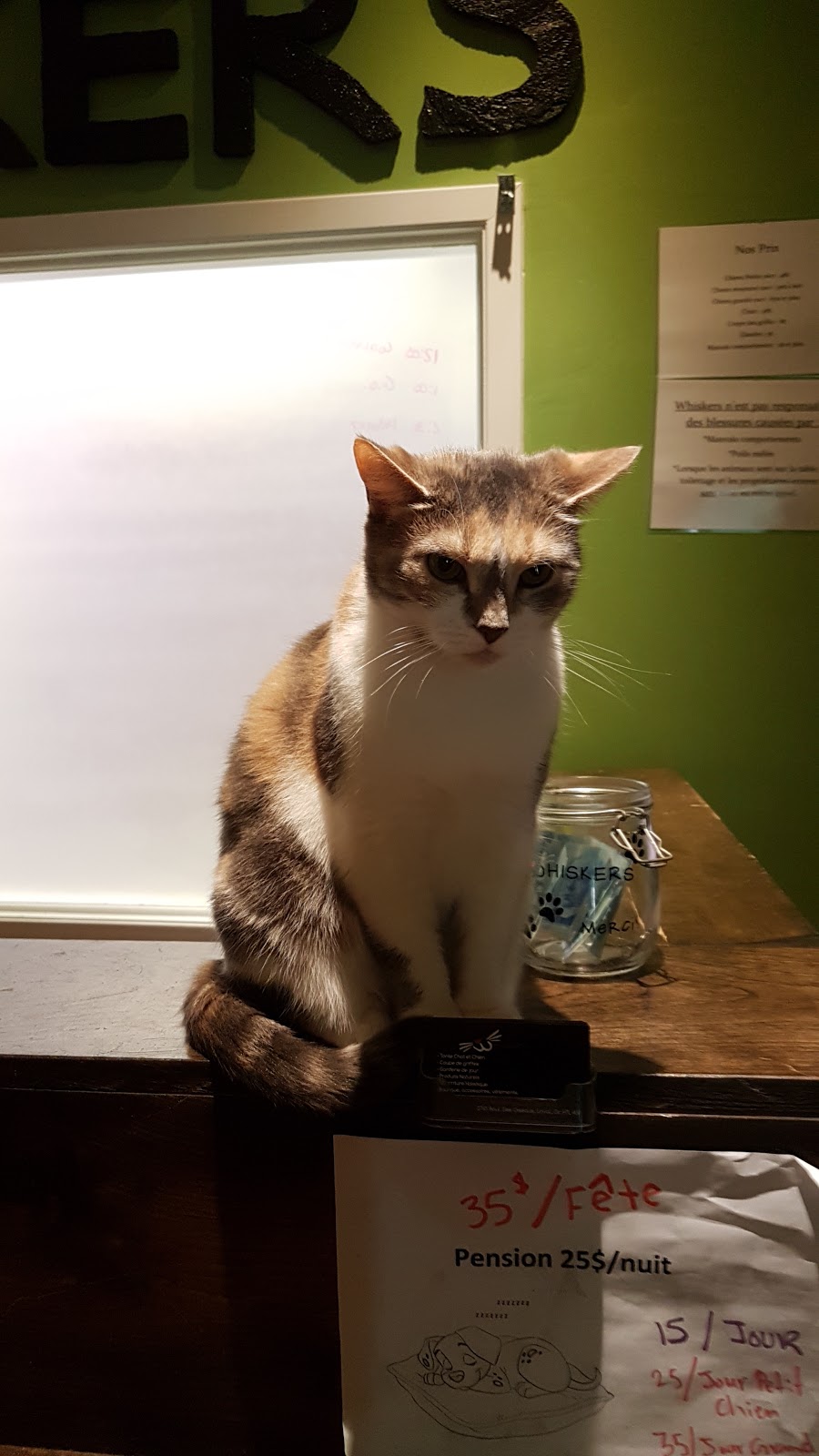 Toilettage Whiskers | 2765 Bd des Oiseaux, Laval, QC H7L 4S9, Canada | Phone: (450) 624-0888