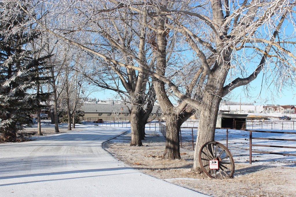 Burwash Equine Services | 252140, Range Rd 42, Calgary, AB T3Z 2J8, Canada | Phone: (403) 242-1913