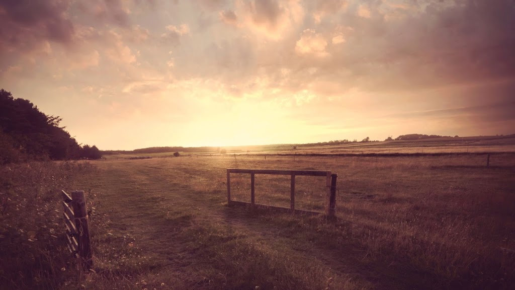 Fossay Herefords | Rural Route 1, Woodlands, MB R0C 3H0, Canada | Phone: (204) 795-0961