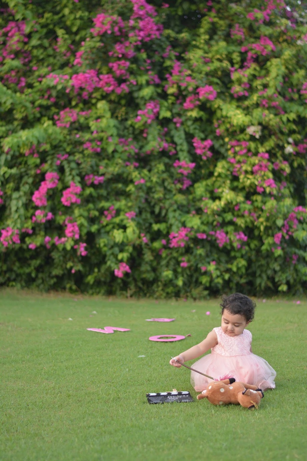 Clicks by Arooj Fatima | Burlington, ON L7M 4H2, Canada | Phone: (289) 707-6384