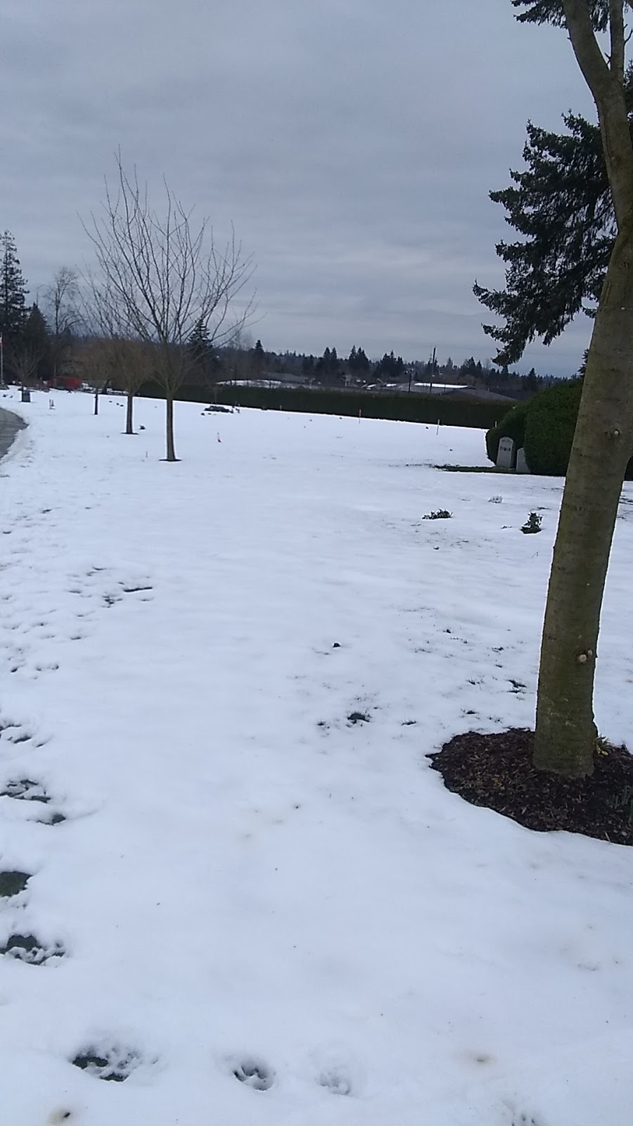 Schara Tzedeck Cemetery | 16656 60 Ave, Surrey, BC V3S 1S9, Canada