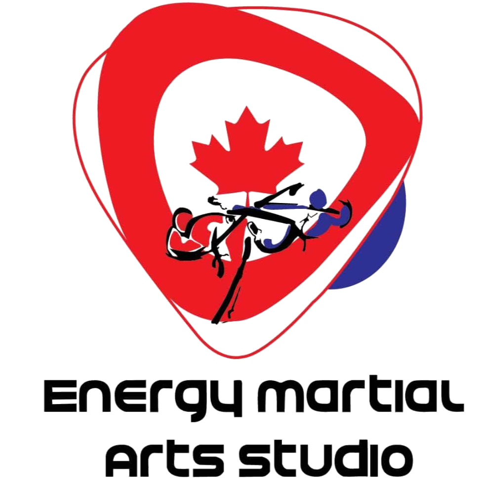 Energy Martial Arts Studio | 225 Chaparral Dr SE, Calgary, AB T2X 3K9, Canada | Phone: (403) 922-8949