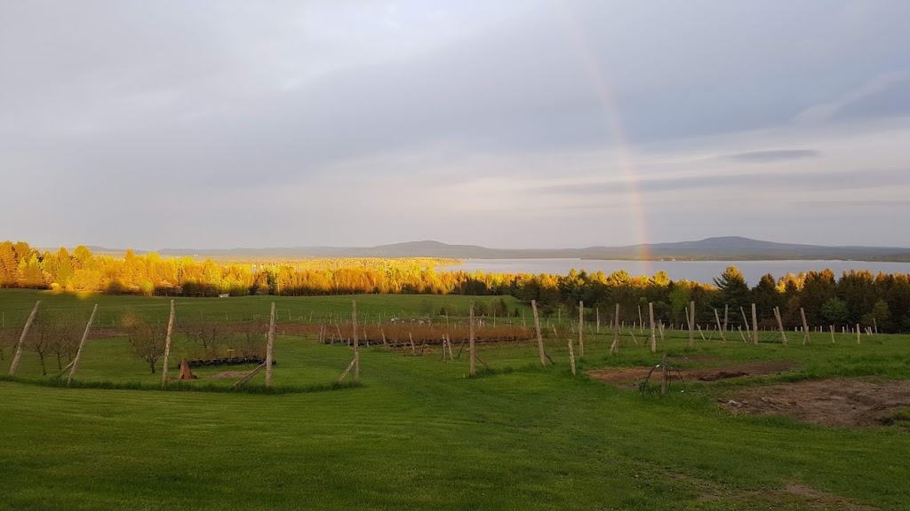 Vignoble & distillerie lincantatrice | 1431 B Rang Centre, Beaulac-Garthby, QC G0Y 1B0, Canada | Phone: (418) 261-8477