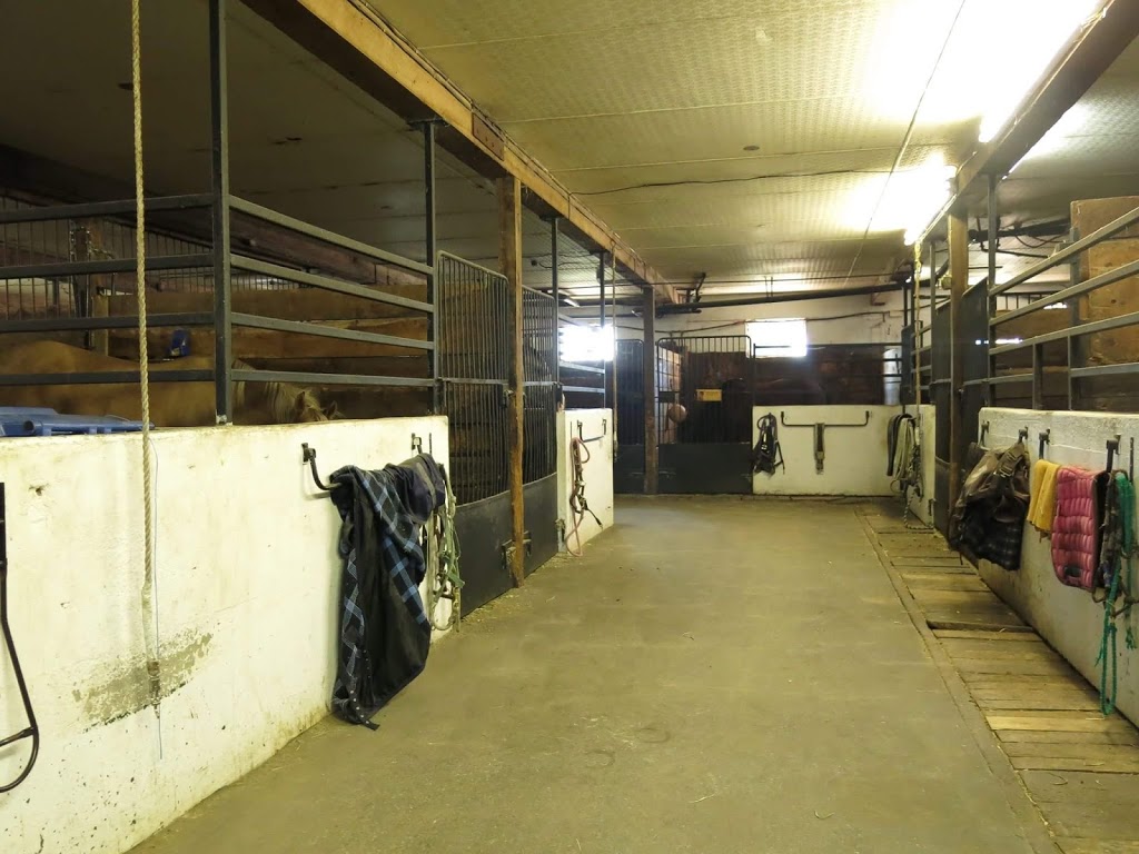 Centre Equestre Mont-Rouge | 6360 Chemin des Sept, Saint-Jean-Baptiste, QC J0L 2B0, Canada | Phone: (450) 467-5418