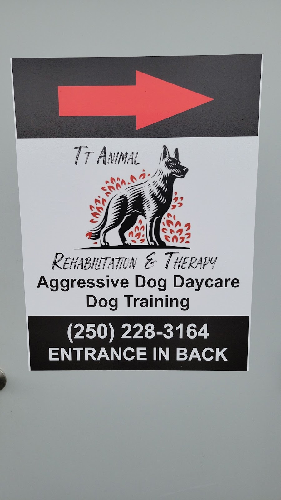 TT Animal Rehabilitation and Therapy | 940 Church Rd, Parksville, BC V9P 2B8, Canada | Phone: (250) 228-3164