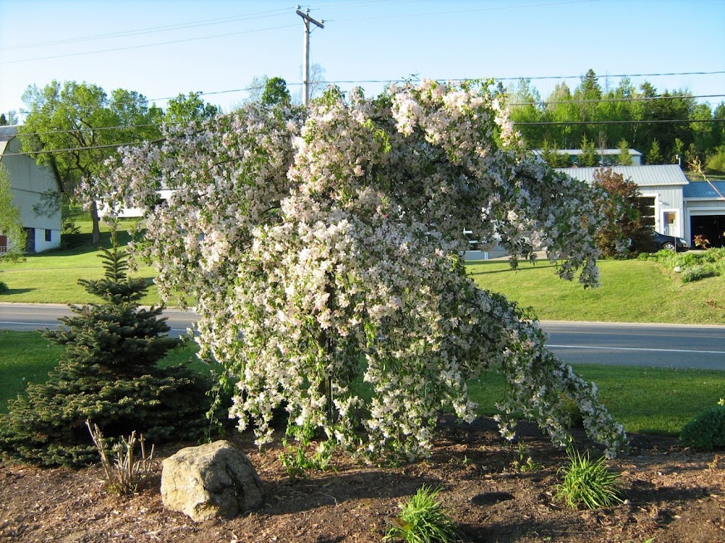 Paysagiste Landteck Landscaping | 146 Rte Principale O, Sainte-Cécile-de-Masham, QC J0X 2W0, Canada | Phone: (819) 661-5252