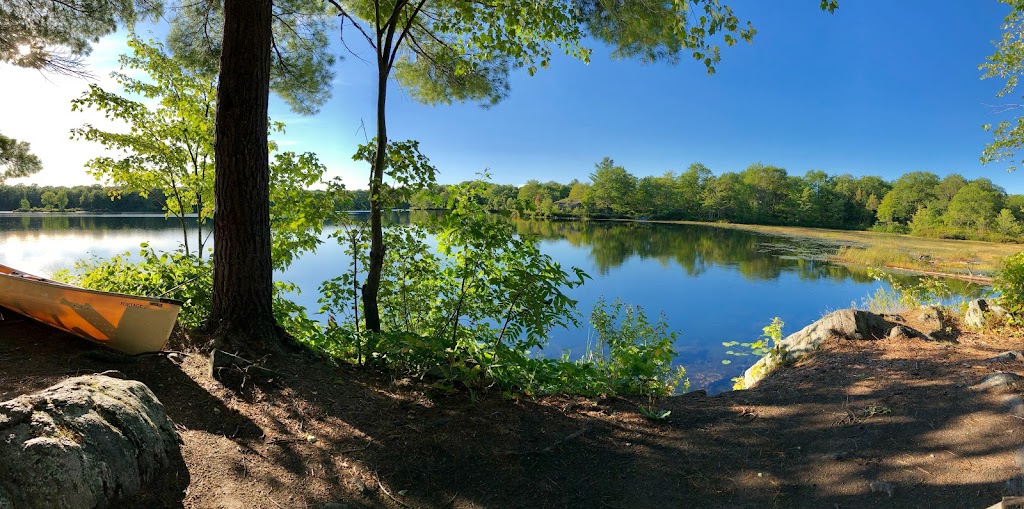 Little Turtle Lake | Coon Lake Rd, Harcourt, ON K0L 3E0, Canada | Phone: (613) 332-3940