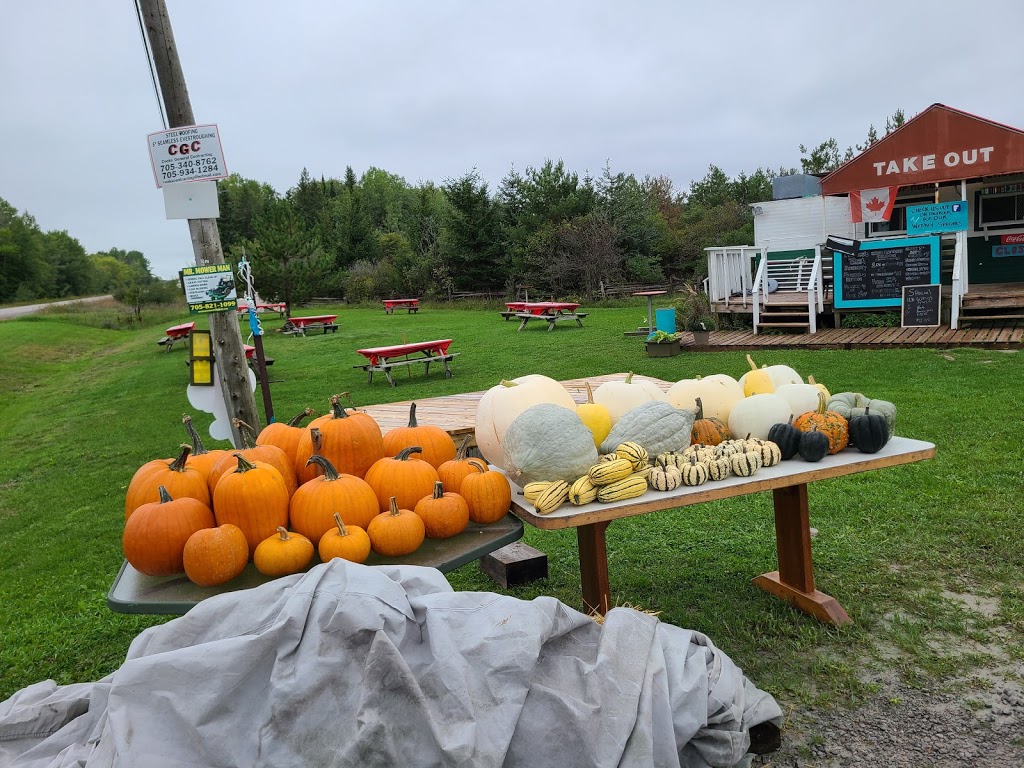 ALLIE DS Station 48 | 1587 Kawartha Lakes County Rd 48, Kirkfield, ON K0M 2B0, Canada | Phone: (705) 438-5730