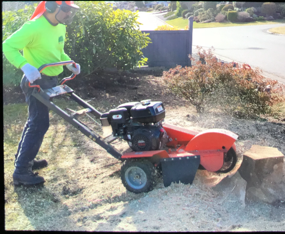 AG Tree Service | 775 Barclay Crescent, Parksville, BC V9P 1Z3, Canada | Phone: (250) 714-8454